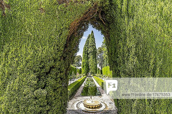 Springbrunnen und Bäume im Generalife-Garten in der arabischen Palastanlage Alhambra in Granada,  Spanien,  Europa