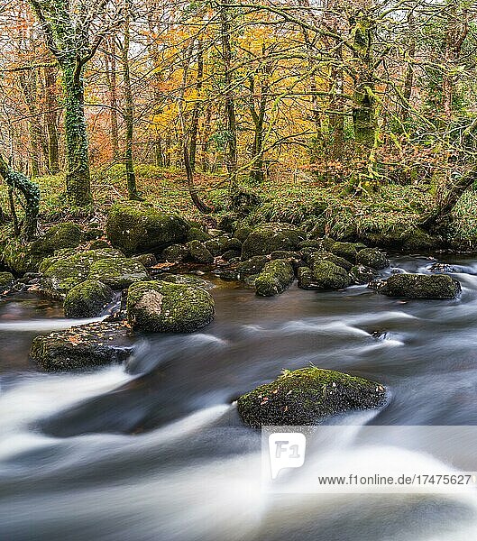 Herbstfarben über dem Fluss Dart in Langzeitbelichtung  Dartmoor Park  Devon  England  Großbritannien  Europa