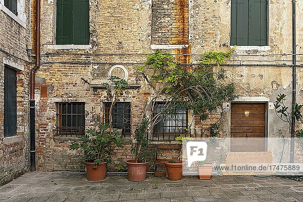 Alte Hausfassade mit Blumentöpfen  Venedig  Italien  Europa