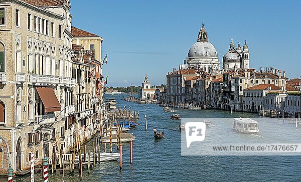 Canal Grande  Grand Canal  and Basilica di Santa Maria della Salute  Venice  Italy  Europe