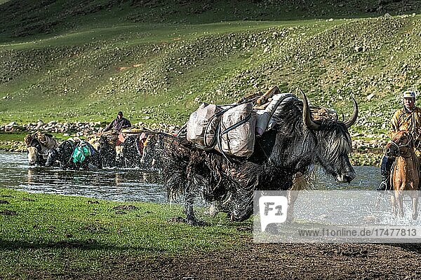 The nomadic family moves with yaks in the summer. Bayanhongor Province  Mongolia  Asia
