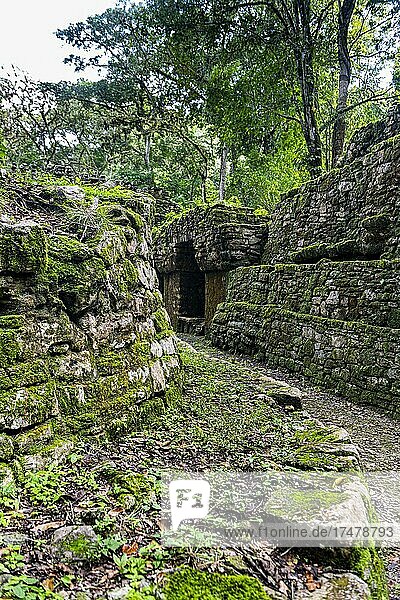 Archeological Maya site Yaxchilan in the jungle of Chiapas  Mexico  Central America