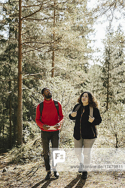 In voller Länge von multirassischen Paar zu Fuß im Wald an einem sonnigen Tag