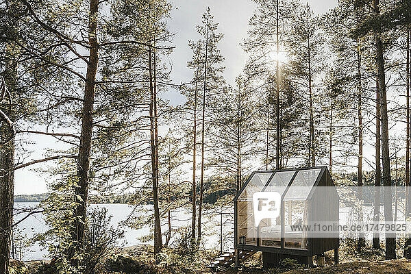 Glashütte inmitten von Bäumen in der Nähe eines Sees im Wald an einem sonnigen Tag