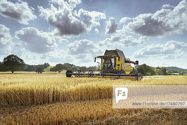 Combine harvester in oat field
