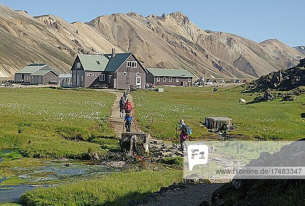 Hikers on their way to a hut  volcanic mountains and green meadows  Landmannalaugar  Iceland  Europe