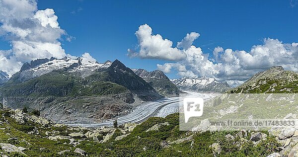 Landschaft mit dem Weltnaturerbe Aletschgletscher  Riederalp  Wallis  Schweiz  Europa