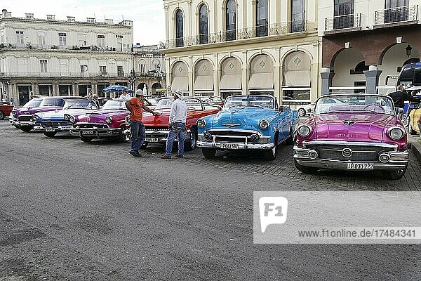 Amerikanische Cabrios der 1950er  in Havanna  Kuba  Mittelamerika