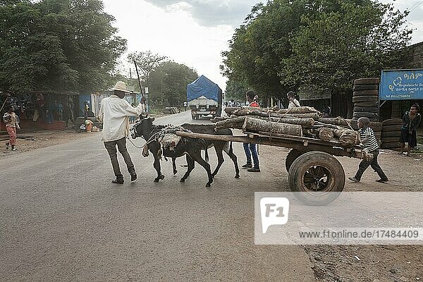 Donkey cart  street scene  Yirgalem  Ethiopia  Africa