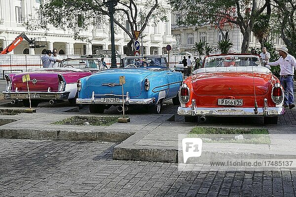 Amerikanische Cabrios der 1950er  in Havanna  Kuba  Mittelamerika