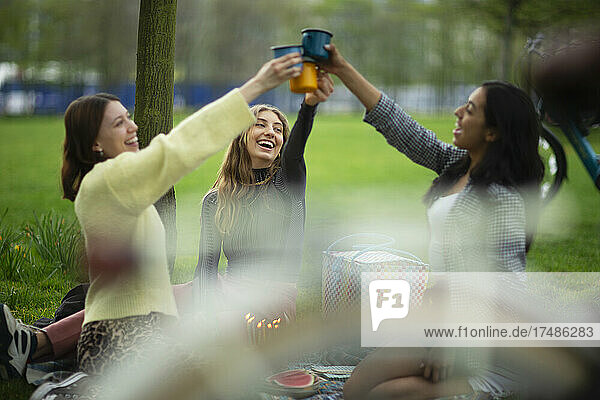 Glückliche junge Frauen stoßen beim Picknick im Park mit Gläsern an