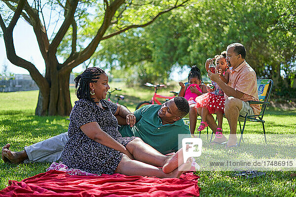 Happy multigenerational family  relaxing in summer park
