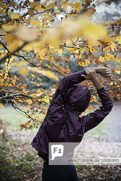 Junge Läuferin streckt die Arme unter einem Herbstbaum aus