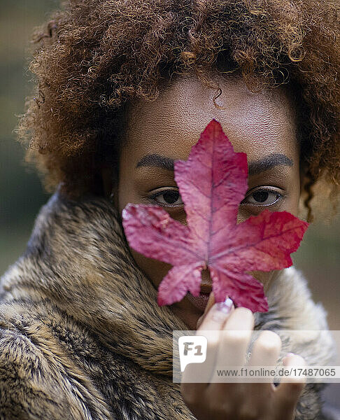 Close up portrait beautiful young woman with red autumn leaf