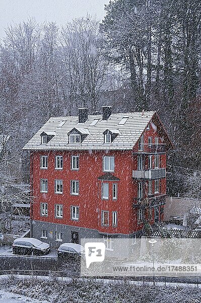 Rotes Haus im Schneegestöber  Kempten  Allga?u  Bayern  Deutschland  Europa