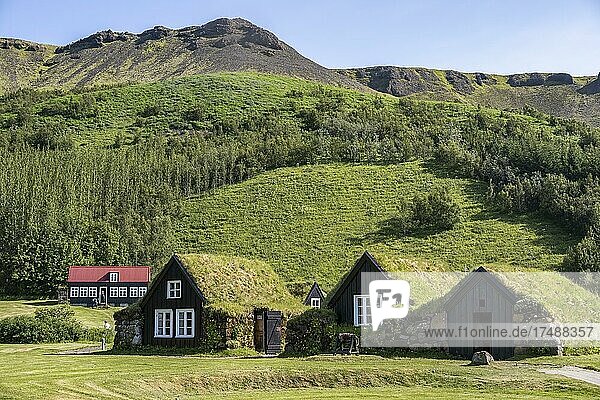 Traditionelles Haus  Torfhäuser mit Gras auf dem Dach  Skógar Museum  Skógar  Island  Europa