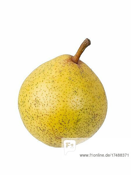 Pear variety Lemon pear  cutout