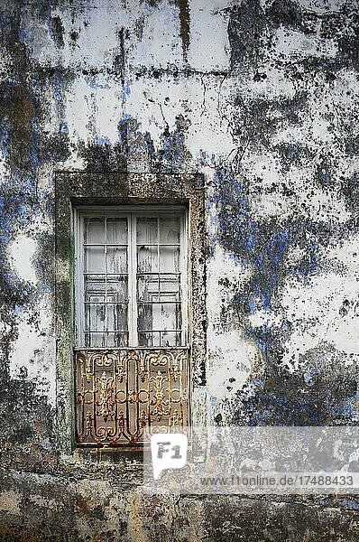 Verwitterte Hausfassade mit altem geschlossenem Fenster in Porto Formoso  Insel Sao Miguel  Azoren  Portugal  Europa