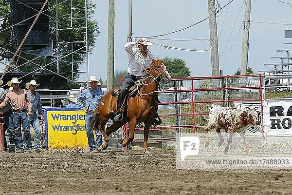 Rodeo competition  rodeo riders  Valleyfield Rodeo  Valleyfield  Province of Quebec  Canada  North America
