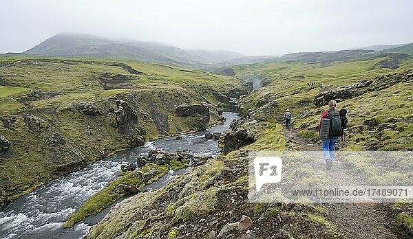 Wanderin auf einem Wanderweg  Landschaft am Fimmvörðuháls Wanderweg  Südisland  Island  Europa