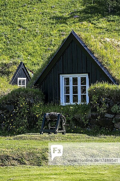 Traditionelles Haus  Torfhäuser mit Gras auf dem Dach  Skógar Museum  Skógar  Island  Europa
