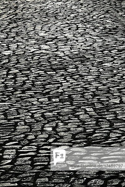 Straßenpflaster  Kopfsteinpflaster im Gegenlicht  Ribeira Grande  Insel Sao Miguel  Azoren  Portugal  Europa