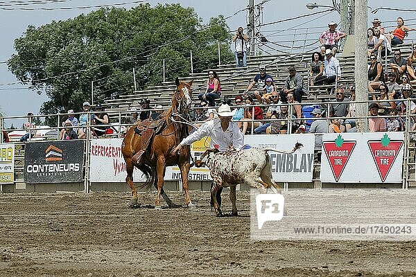 Rodeo competition  rodeo riders  Valleyfield Rodeo  Valleyfield  Province of Quebec  Canada  North America