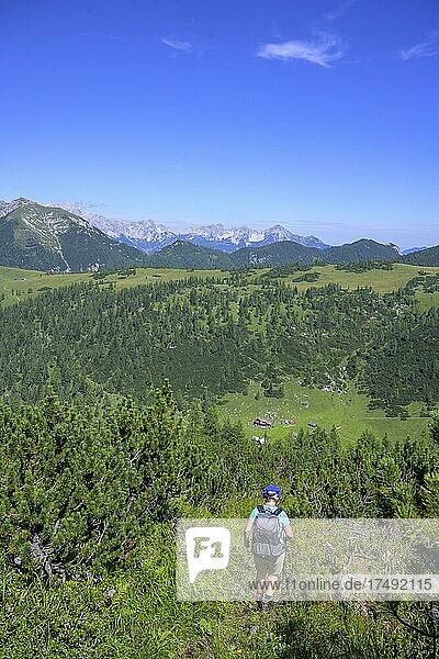 Blick zur Hochmölbinghütte  Wörschach  Steiermark  Österreich  Europa