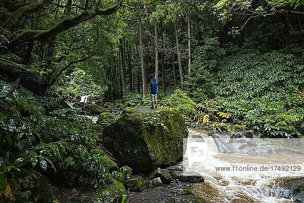 Photographer on the hiking trail through jungle-like forest to the waterfall Salto do Prego  Faial da Terra  Sao Miguel Island  Azores  Portugal  Europe