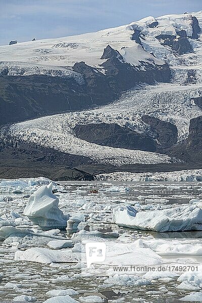 Fjallsárlón ice lagoon  ice floes in front of Vatnajökull glacier  Hornafjörður  Iceland  Europe
