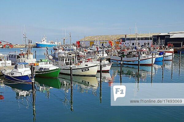 Kleine Fischereifahrzeuge spiegeln sich im Hafenbecken  Hirtshals  Nordjütland  Dänemark  Europa