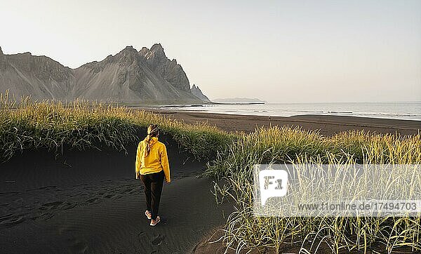 Young woman with rain jacket hiking  black lava beach  sandy beach  dunes with dry grass  headland Stokksnes  mountain range Klifatindur  Austurland  East Iceland  Iceland  Europe
