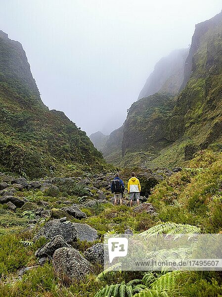 Hikers in the misty  wild and romantic valley of Vale das Lombadas  Serra de Aqua de Pau  Sao Miguel Island  Azores  Portugal  Europe