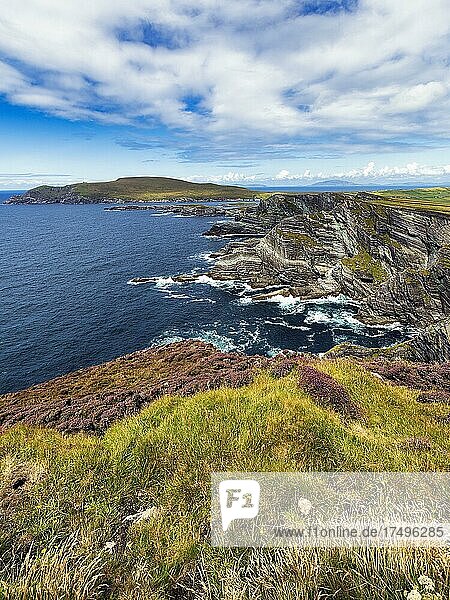 Zerklüftete Steilküste mit Blick auf den Atlantik  Kerry Cliffs  Panoramastraße Skellig Ring  Portmagee  Halbinsel Iveragh  Kerry  Irland  Europa