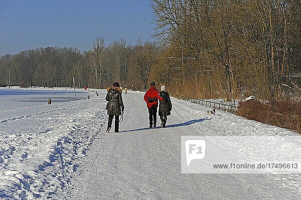 Three walkers in winter with snow  Hinterbrühl  Munich  Bavaria  Germany  Europe