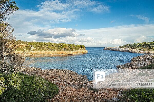 Bucht Cala Sa Nau  bei SHorta  Mallorca  Spanien  Europa