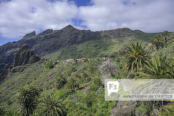 Bergdorf Masca Im Teno-Gebirge  Masca  Teneriffa  Spanien  Europa