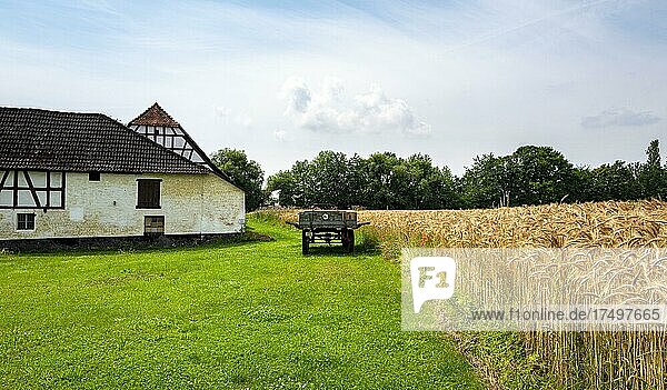 Kornfeld und Acker neben einem Bauernhof  Hofheim  Hessen  Deutschland  Europa