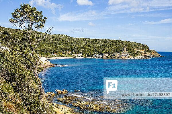 Küste mit Genueserturm  Cap Corse  Korsika  Cap Corse  Korsika  Frankreich  Europa