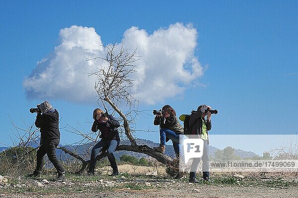 Women photographers with cameras on tree stump  mood with clouds  woman photographers  landscape with photographers  Andalucia  Spain  Europe