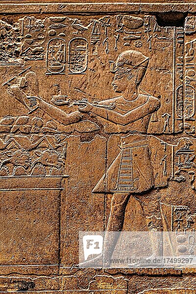 Der König steht vor einem Opferaltar  Luxor-Tempel  Theben  Ägypten  Luxor  Theben  Ägypten  Afrika