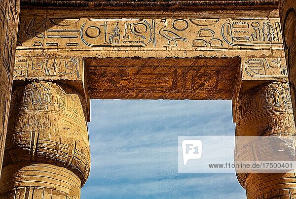 Säulenhalle mit Papyrus-Säulen  Ramesseum  Totentempel von Ramses II. Luxor  Theben-West  Ägypten  Luxor  Theben  West  Ägypten  Afrika