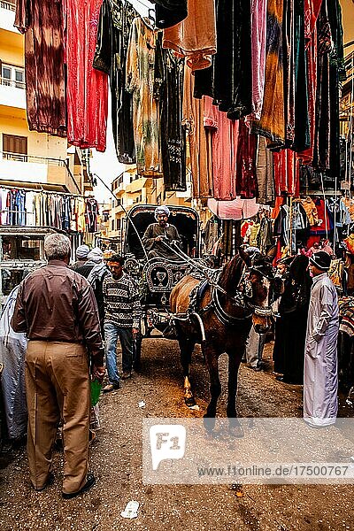 Carriage through the bazaar in the Old City  Luxor  Thebes  Egypt  Luxor  Thebes  Egypt  Africa