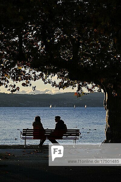 Couple on Lake Zurich in autumn mood  Switzerland  Europe