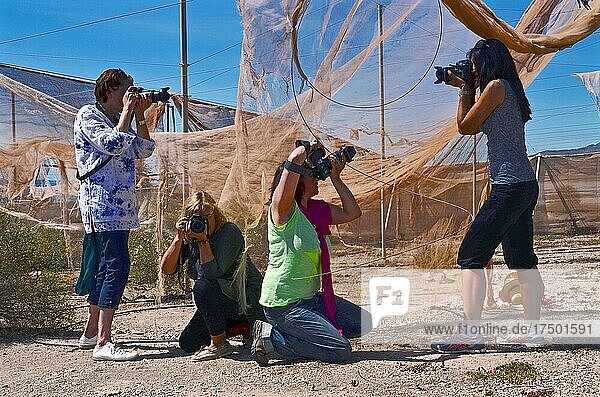Fotokurs für Frauen  Fotoworkshop für Frauen  fotografierende Frauen vor zerfleddertem Tomatenzelt  hockende Frauen fotografieren  stehende Fotografinnen