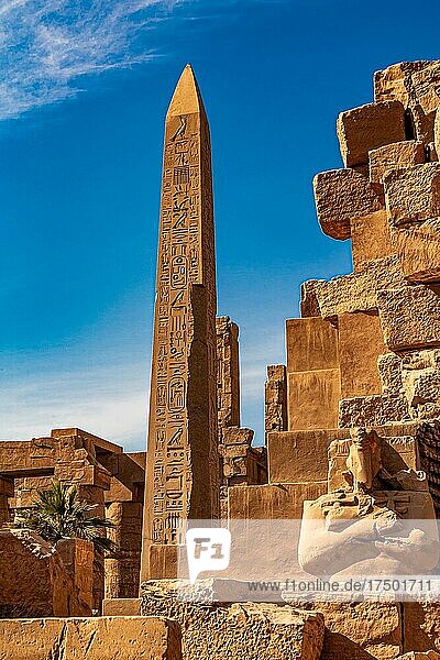 Obelisk der Hatschepsut  Karnak-Tempel  Luxor  Theben  Ägypten  Luxor  Theben  Ägypten  Afrika