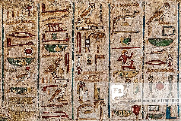 Liste von Hieroglyphen  Grab des Userhat  Gräber der Noblen  Luxor  Theben-West  Ägypten  Luxor  Theben  West  Ägypten  Afrika