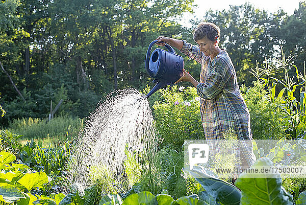 Woman watering crops with can at vegetable garden