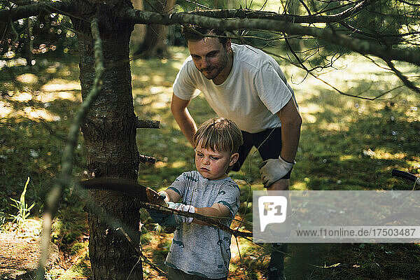 Father looking at son cutting branch of tree with hand saw
