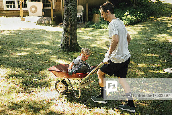 Father pushing son sitting on wheelbarrow